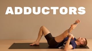 Hip Adductor Groin Stretch  Active Isolated Stretching [upl. by Ailet]