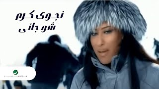 Najwa Karam Shou Jani نجوى كرم  شو جانى [upl. by Brey]