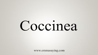 How To Say Coccinea [upl. by Noam]