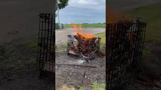 Burning seed bags [upl. by Nihs]