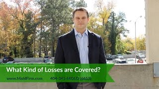 What Kind of Losses are Covered in a Mold Case  Georgia Toxic Mold Attorneys  Mold Firm [upl. by Jeavons608]