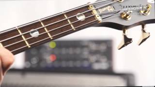 The Warwick Streamer Stage II  product demo with Andy Irvine [upl. by Ilocin609]