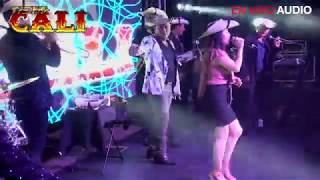 FLOR HERMOSA EL HUIZACHE TIERRA CALI FEAT VIRY SANDOVAL LA REYNA DE TIERRA CALIENTE EN VIVO [upl. by Joacima]