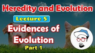 Evidences of Evolution Part1  Heredity and Evolution Class 10 SSC CBSE [upl. by Udenihc]