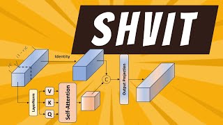 SHViT CVPR2024 SingleHead Vision Transformer with Memory Efficient Macro Design [upl. by Henley]