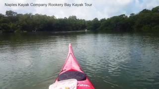 Naples Kayak Company Rookery Bay Kayak Tour [upl. by Goddart338]