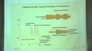 Dr Manal GIT 1 quot Innervation of the GIT  Types of movements in the gastrointestinal tract quot [upl. by Trebo128]