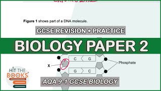 GCSE Biology Paper 2  Exam Questions and Revision [upl. by Dhruv786]