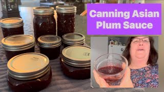 Canning Plum Sauce  something special for the pantry [upl. by Ikeda]