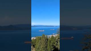 Astoria Column view from the top [upl. by Papp]