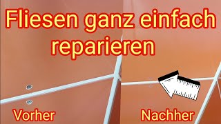 Fliesen reparieren  Anleitung Tipps Infos amp Hilfe Tutorial [upl. by Remliw]