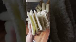 Grow Natural Loofah Sponge And Scrubber At Home shorts howto [upl. by Eanert]