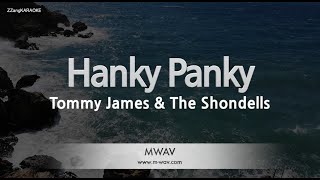 Tommy James amp The ShondellsHanky Panky Melody ZZang KARAOKE [upl. by Edylc]