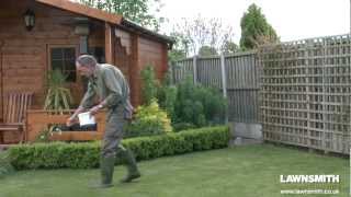 How to Over Seed a Lawn after Raking or Scarifying [upl. by Ebaj100]