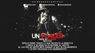 Ñengo Flow  Un Placer Letra [upl. by Jehiah496]