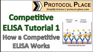 Competitive ELISA Tutorial 1 How a Competitive ELISA Works [upl. by Couq]