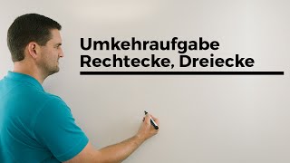 Umkehraufgabe Rechtecke Dreiecke Längen ausrechnen  Mathe by Daniel Jung Erklärvideo [upl. by Anival]