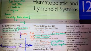 LymphomaHodgkins Lymphoma and Non Hodgkins LymphomaRobins Pathology Pathoma Special pathology [upl. by Fabria]