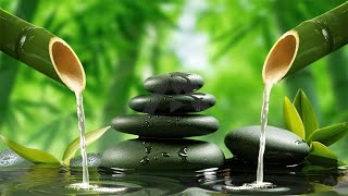 Healing Bamboo Water Fountain 247 Relaxing Music Nature Sounds Meditation Music With Water Sound [upl. by Cordle]