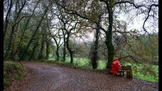 Camino de Santiago Arzua  O Pedrouzo [upl. by Enileuqcaj]