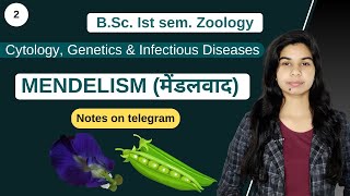 Cytology Genetics amp Infectious Diseases  MENDELISM मेंडलवाद  हिंदी में  Zoology [upl. by Anirehs]