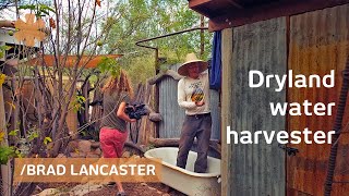 Drylandharvesting home gathers sun rain food amp more [upl. by Emirak814]