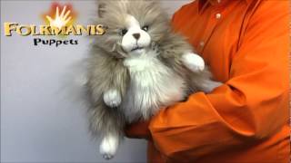 2566 FOLKMANIS Fluffy Cat [upl. by Hildegaard419]