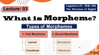 Morpheme  Types of Morphemes  Free Morphemes amp Bound Morphemes [upl. by Nomahs]