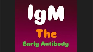 Immunoglobulin M  The Early Antibody [upl. by Caniff]