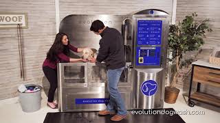 Evolution Dog Wash  Improving Business Revenue  Contact Us [upl. by Girovard]