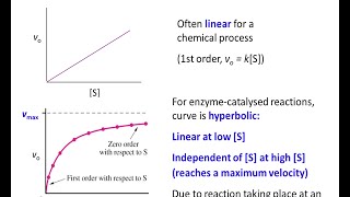 Biochemistry 92 Enzyme kinetics part 1 [upl. by Lacie]