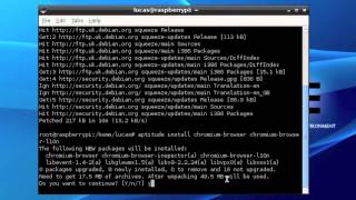 How To Install Google Chrome Chromium On Debian Linux [upl. by Kaila]