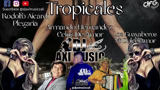 Mix Tropical  Plegaria  Celos De Amor  Mi Dulce Amor  Dj Axi Music Cali  Valle Del Cauca [upl. by Stempien]