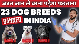 OMG 😱 सरकार ने लगाया इन कुत्तों 🐕 की नस्ल पर BAN 🚫  23 Dog Breed 🚫 Banned In India 2024  In Hindi [upl. by Anneirda]