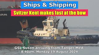 Svitzer Kent makes fast as GSL Susan arrives from Tanger Med Monday 19 Aug 2024 [upl. by Llacam611]