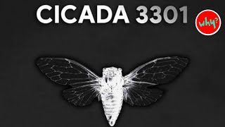 Cicada 3301 Solving the Internets Greatest Mystery [upl. by Gnuh]