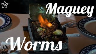 VERY MEXICAN TACOS MAGUEY WORMS [upl. by Ahsiya]