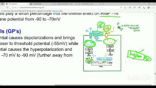 Neuron Action potential  Nervous system First Aid Lectures Lec6 drjamillectures [upl. by Rusticus471]