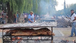 Nogolí puso toda la carne al asador [upl. by Gnot]