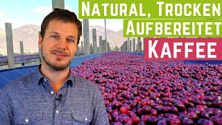 Kaffee Aufbereitung Natural  Was wird hier fermentiert und wie schmeckt das [upl. by Lleksah]