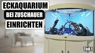 Ich richte ein 190 Liter Eckaquarium bei einem Zuschauer neu ein [upl. by Fransisco]