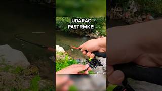 Potočna PASTRMKA Sa POLA REPA  Varaličarenje i Brutalan UDARAC na MEPPSA [upl. by Drahser954]