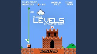 Levels Dveloped Remix [upl. by Eugirne497]