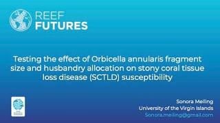 Testing the effect of Orbicella annularis fragment size and husbandry allocation on SCTLD [upl. by Thomajan531]