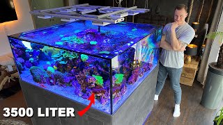 GERMAN REEF TANKS  massive saltwater aquarium 920 gallon private tour [upl. by Haroun]