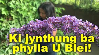 Ki jynthung ba phylla U Blei [upl. by Freiman]