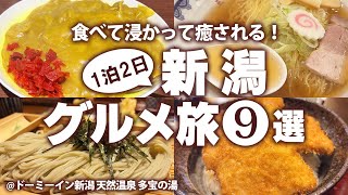 【新潟グルメひとり旅】新潟駅周辺！はじめての新潟で名物グルメを食べ歩き！モデルコース [upl. by Raji]