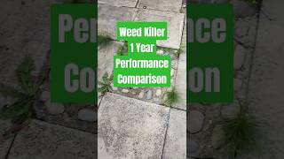 Weed Killer  One Year Performance [upl. by Markowitz]