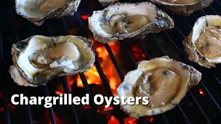 Chargrilled Oysters  Grilled Oyster Recipe on Big Green Egg [upl. by Atikahs]