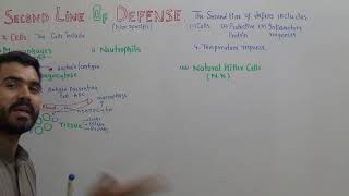 Second line of Defense Part A lecture 3 Immune system Macrophages Neutrophils and NK cells [upl. by Aisetal]